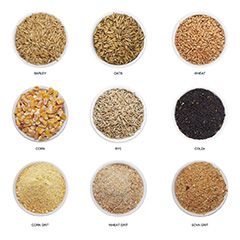 Grains Packaging